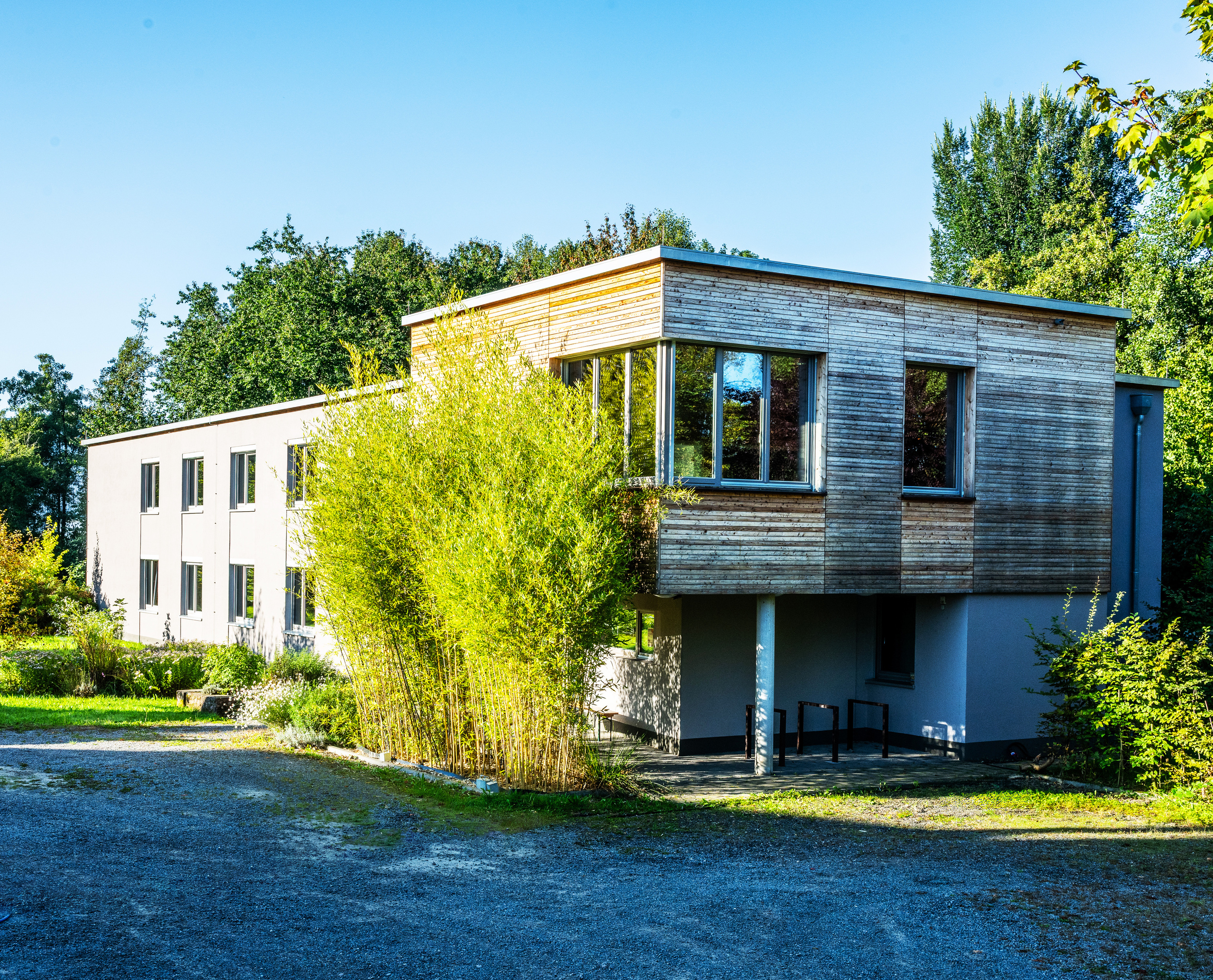 Schrägansicht eines riegelförmigen Bürogebäudes, umgeben von Pflanzen und Bäumen, mit zurückgesetztem Eingangsbereich.