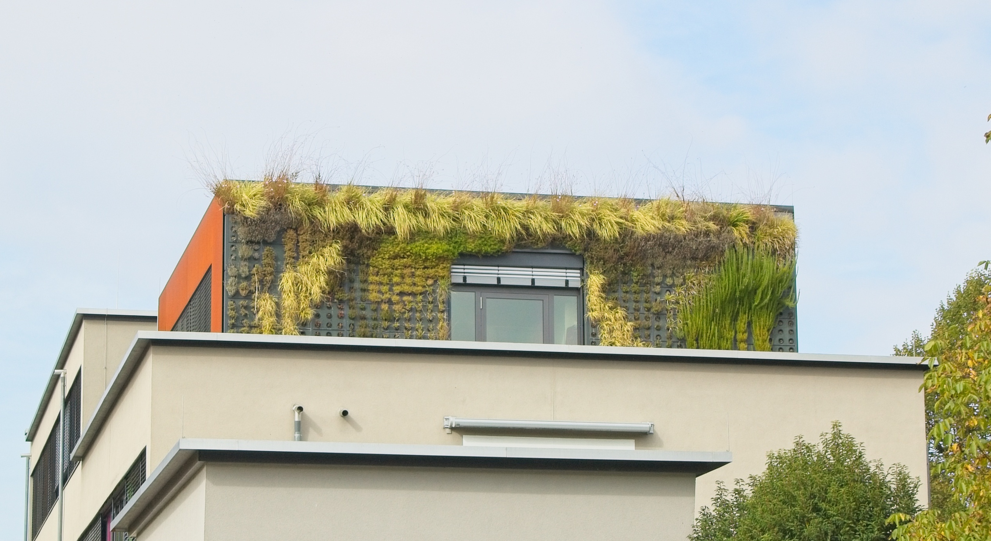 Dreistöckiges Bürogebäude. Auf dem zweiten Stockwerk sitzt der Kubus mit der begrünten Wand.
